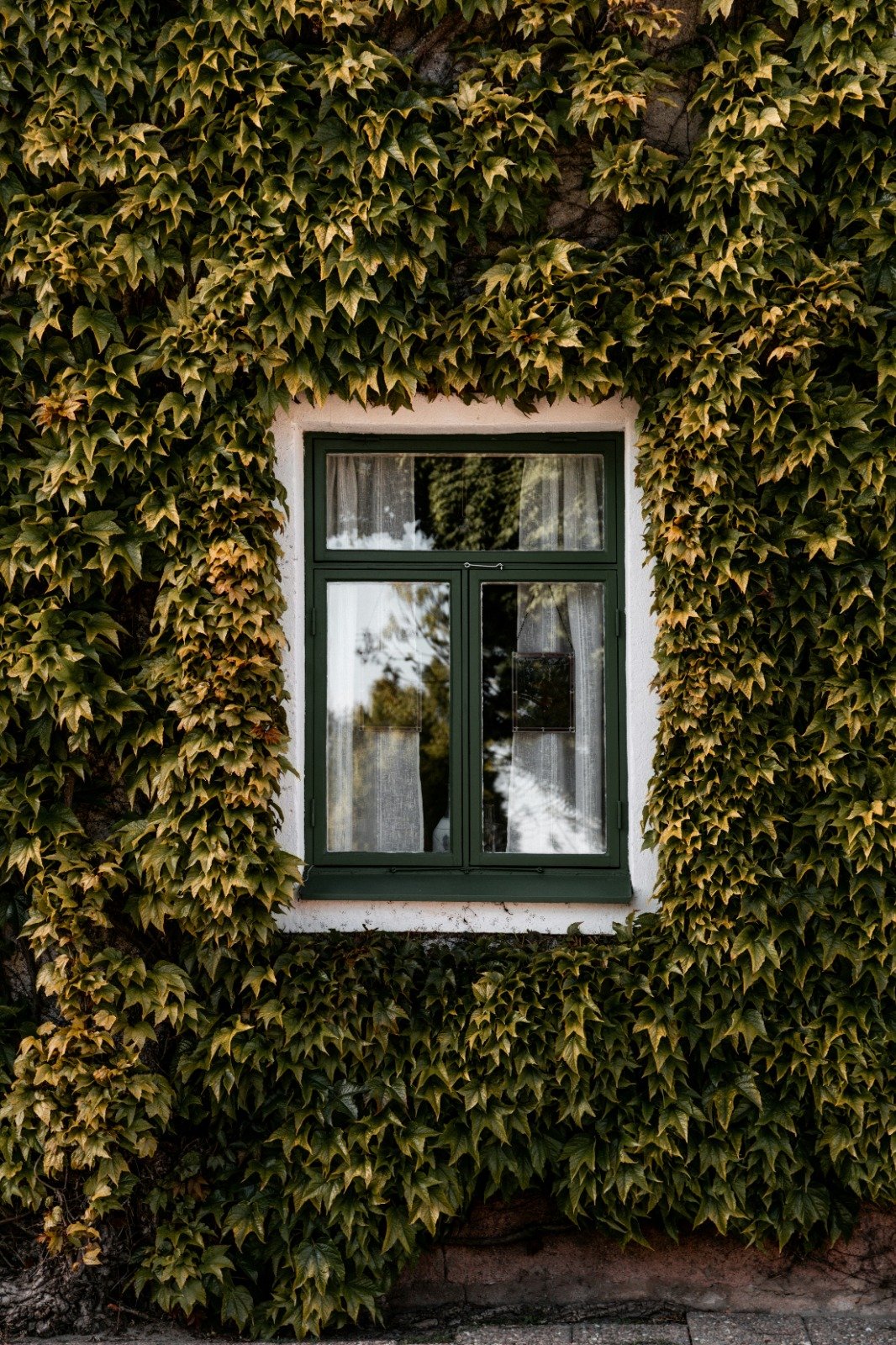 Traditional timber sash window on a period home